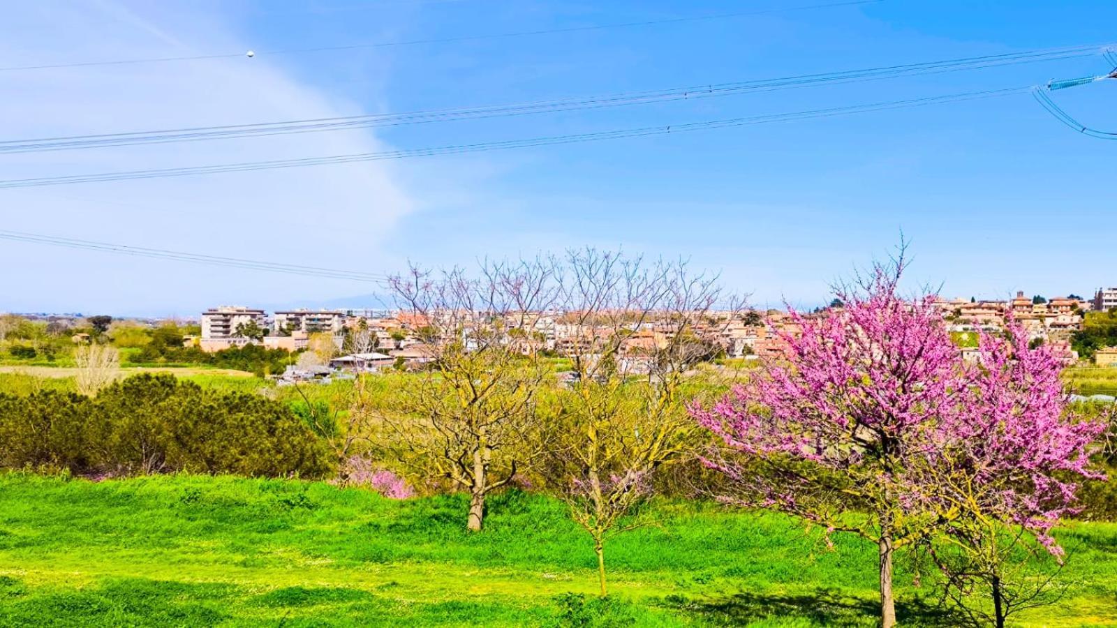Rome Sweet Home Vitinia Exterior foto